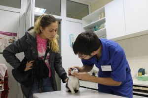 Амбулаторный прием в ветеринарной клинике