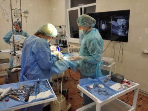 Хірургія operacionnaya vetklinika rudyj kit 1