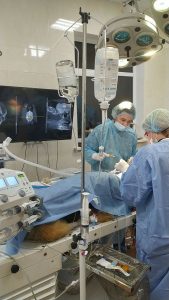 Хірургія operacionnaya vetklinika rudyj kit 2