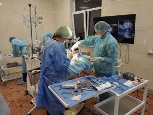 Хірургія operacionnaya vetklinika rudyj kit 3