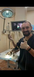 Удаление чужеродного тела из желудка методом гастроскопии
