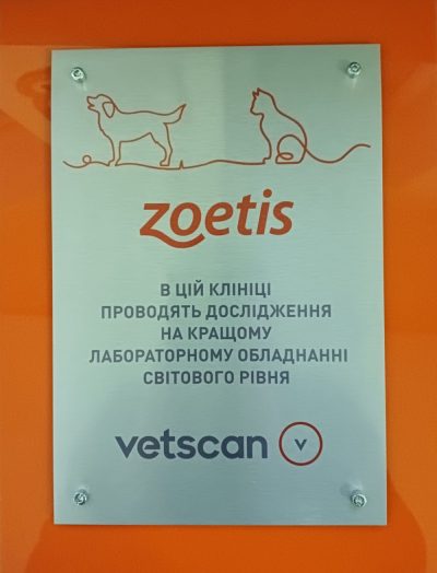 zoetis 1